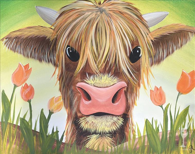 The Highland Calf
